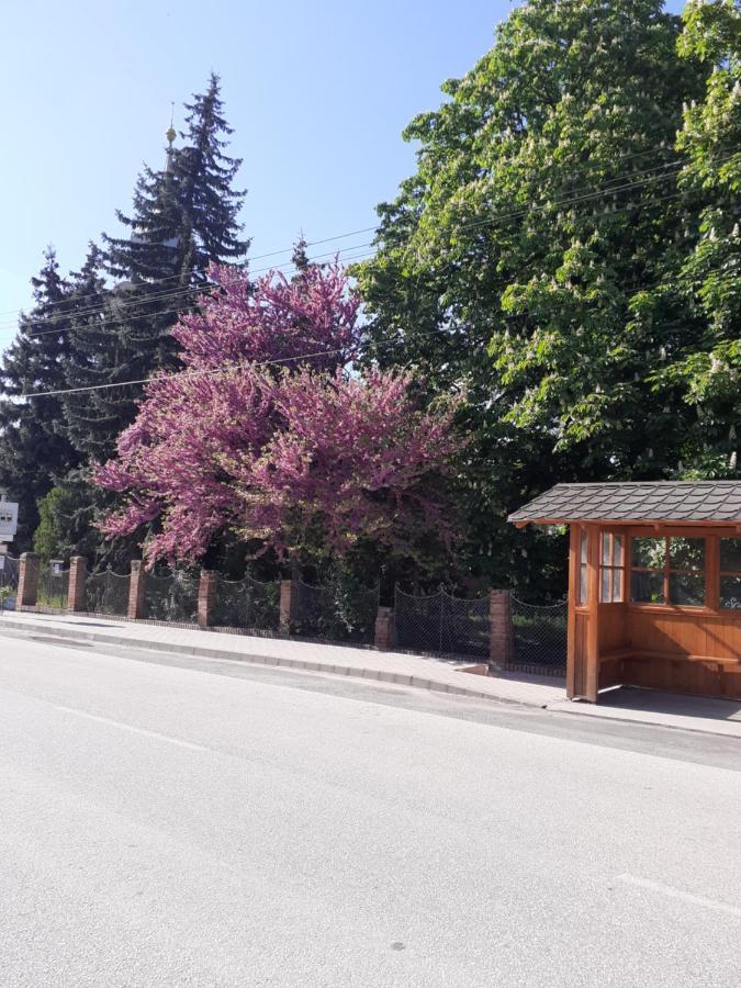 Tiszaug Borostyan Vendeghaz 아파트 외부 사진